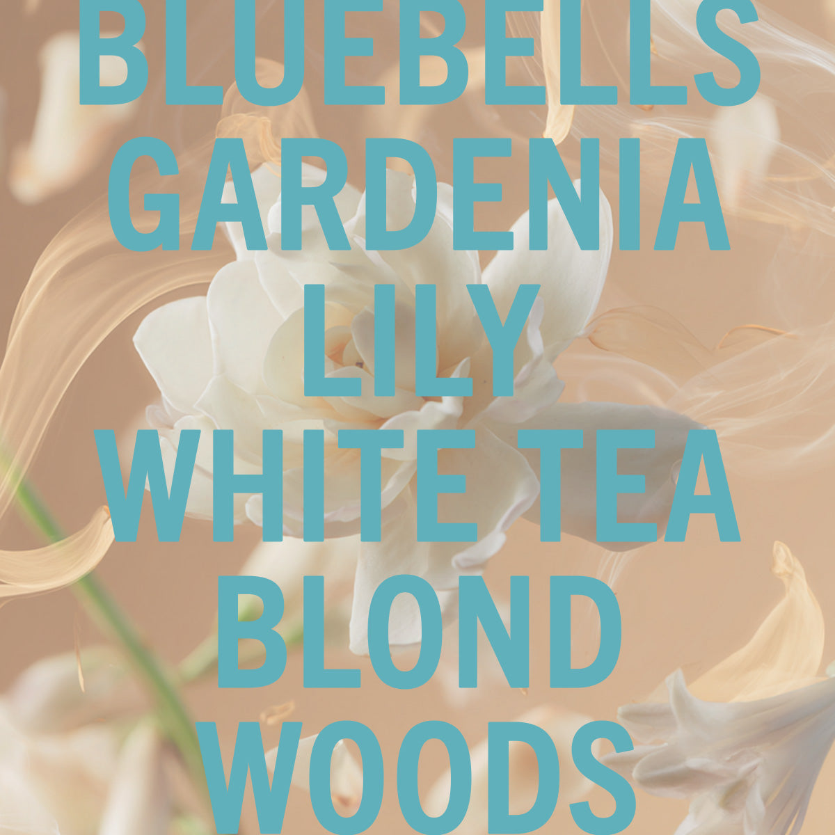 Tallulahs Camellia Fragrance 10ml